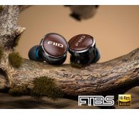 FiiO FP3 Rosewood Type-C - 1455650 - zdjęcie 4
